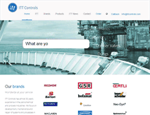 Tablet Screenshot of ittcontrols.com